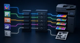 Why One Windows Application Prints Only in Black and White